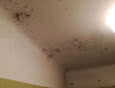 Brak wentylacji w łazience i powracający problem pleśni